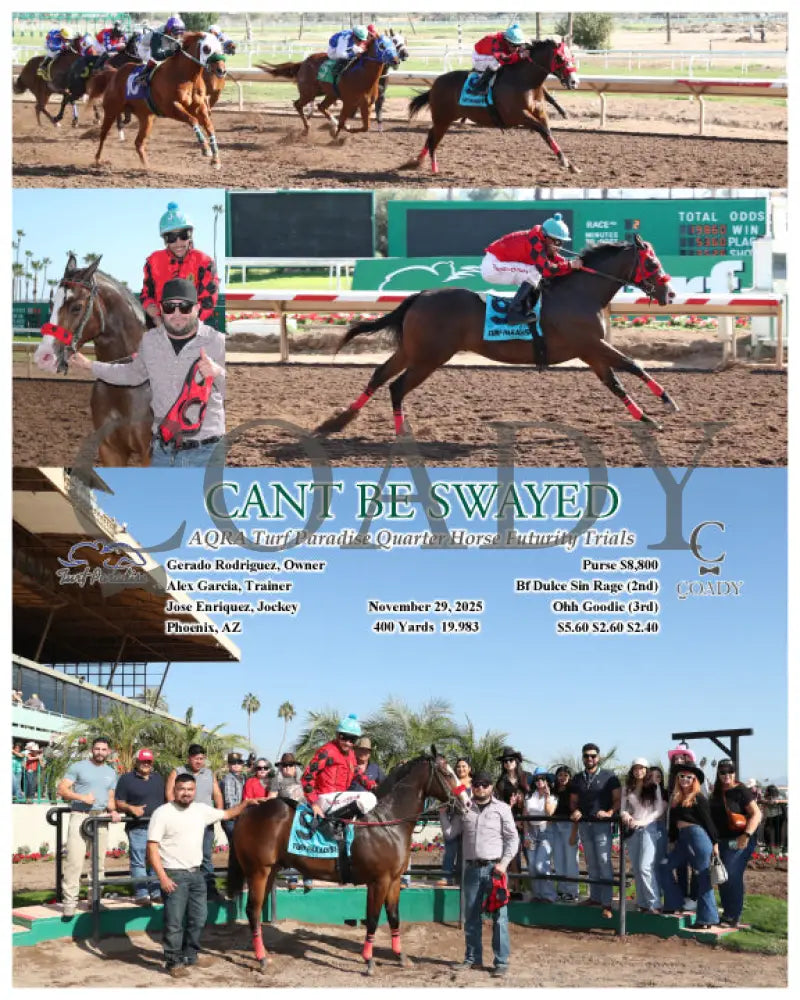 CANT BE SWAYED - AQRA Turf Paradise Quarter Horse Futurity Trials - 11-29-25 - R02 - TUP - Coady Media - Kurtis Coady Photography