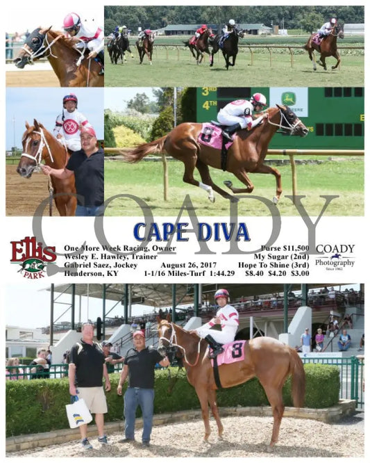 Cape Diva - 082617 Race 01 Elp Ellis Park