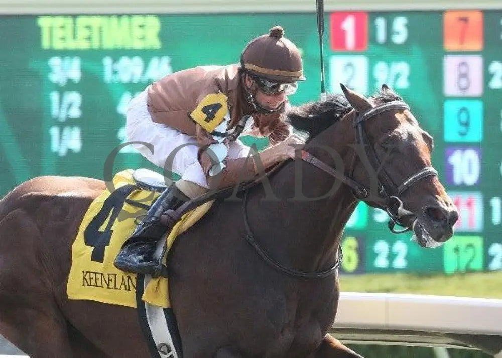 Capetown Devil - 1 101411 Race 04 Keeneland