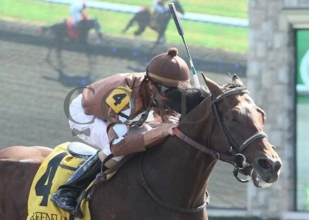 Capetown Devil - 2 101411 Race 04 Keeneland