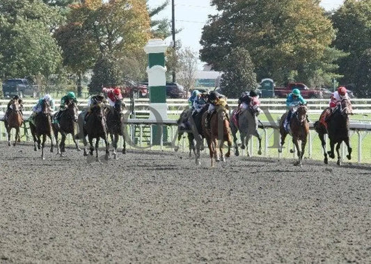 Capetown Devil - 3 101411 Race 04 Keeneland