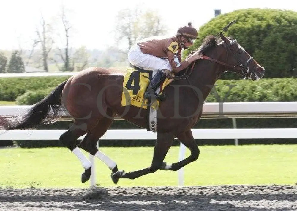 Capetown Devil - 4 101411 Race 04 Keeneland