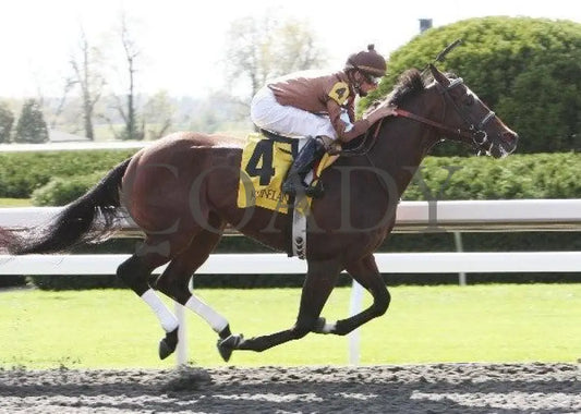 Capetown Devil - 4 101411 Race 04 Keeneland