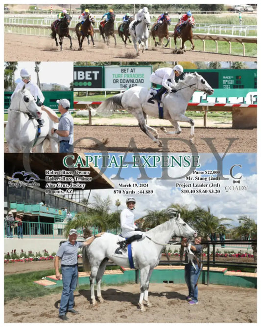Capital Expense - 03 - 19 - 24 R02 Tup Turf Paradise