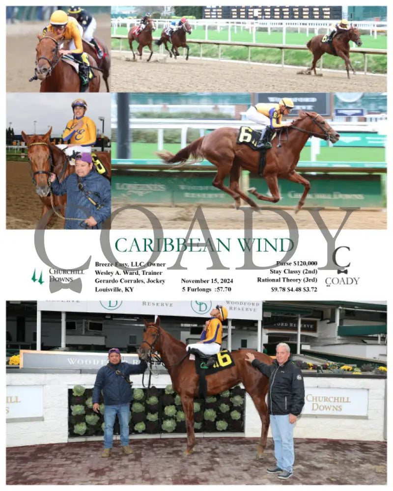 Caribbean Wind - 11-15-24 R06 Cd Churchill Downs