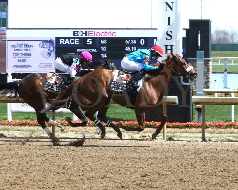 Carimba - Total Eclipse Of The Heart Overnight Handicap 04 - 08 - 24 R05 Horseshoe Indiana Finish