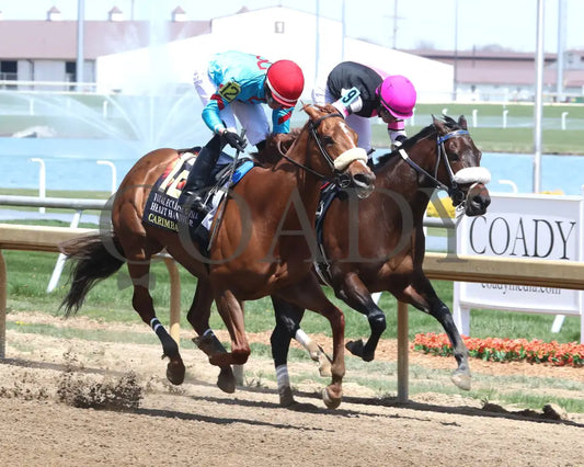 Carimba - Total Eclipse Of The Heart Overnight Handicap 04 - 08 - 24 R05 Horseshoe Indiana Finish