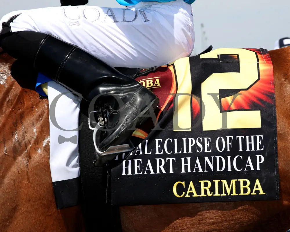 Carimba - Total Eclipse Of The Heart Overnight Handicap 04 - 08 - 24 R05 Horseshoe Indiana Saddle
