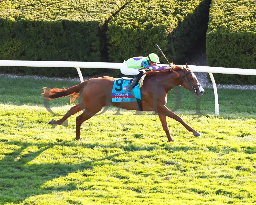 Carl Spackler - 100524 Race 10 Kee The Coolmore Turf Mile G1 Aerial Finish 01 Keeneland