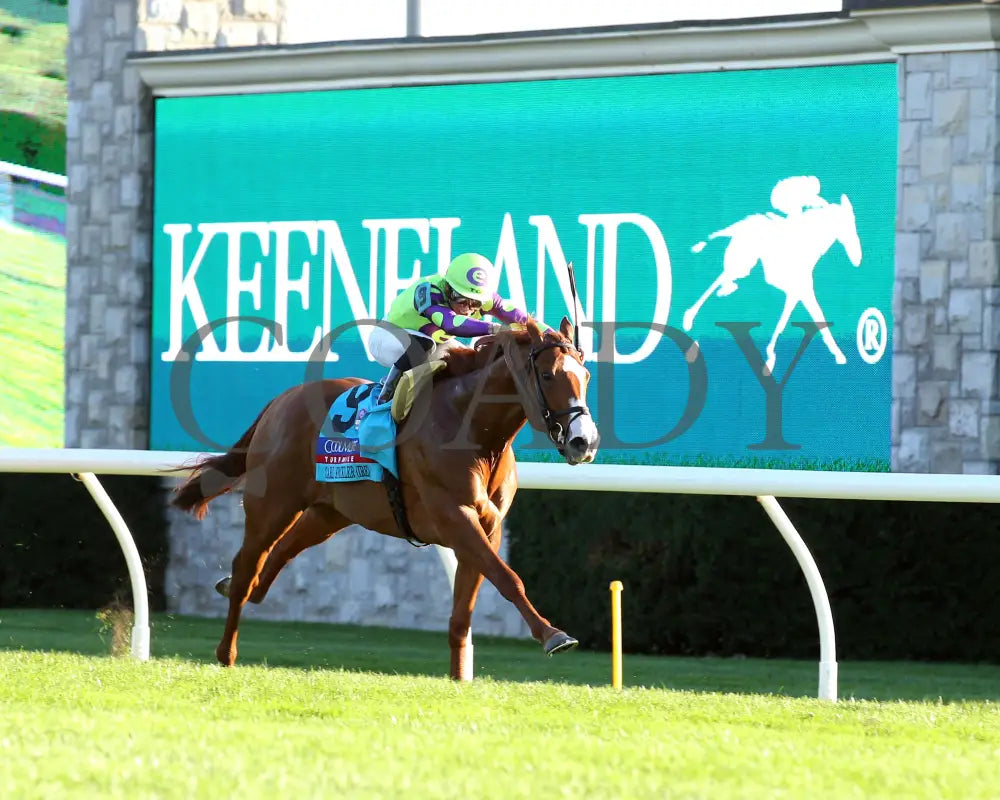 Carl Spackler - 100524 Race 10 Kee The Coolmore Turf Mile G1 Finish 04 Keeneland