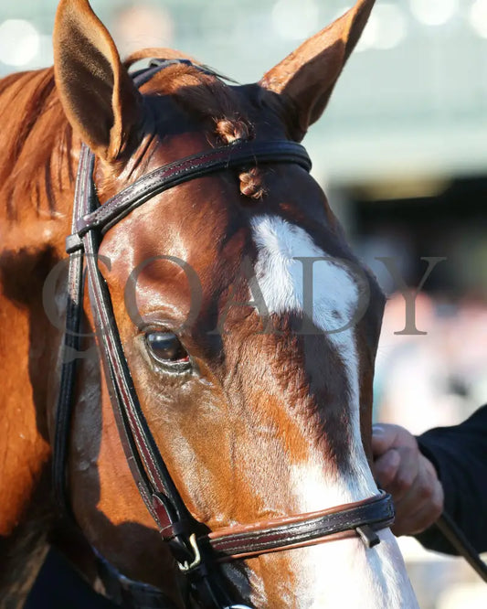 Carl Spackler - 100524 Race 10 Kee The Coolmore Turf Mile G1 Head Shot 01 Keeneland