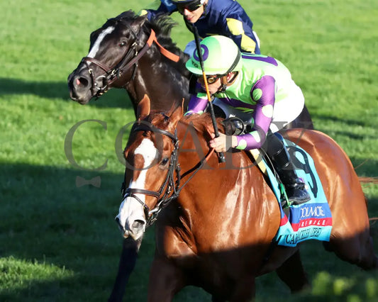 Carl Spackler - 100524 Race 10 Kee The Coolmore Turf Mile G1 Inside Finish 01 Keeneland