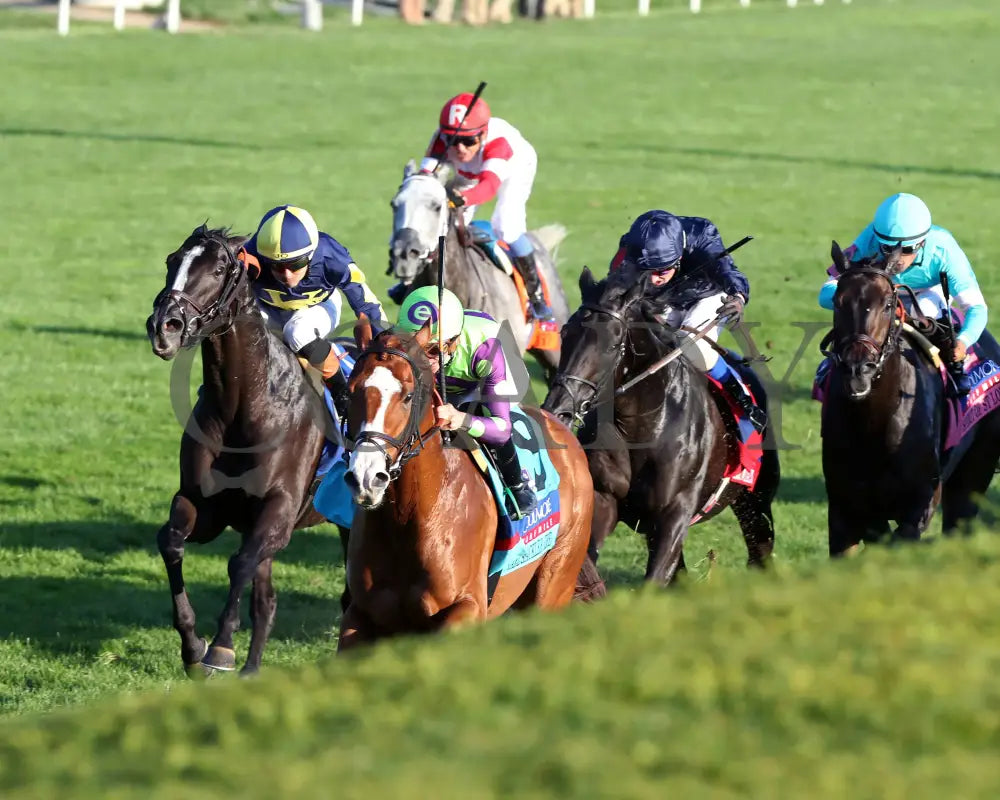 Carl Spackler - 100524 Race 10 Kee The Coolmore Turf Mile G1 Inside Finish 02 Keeneland