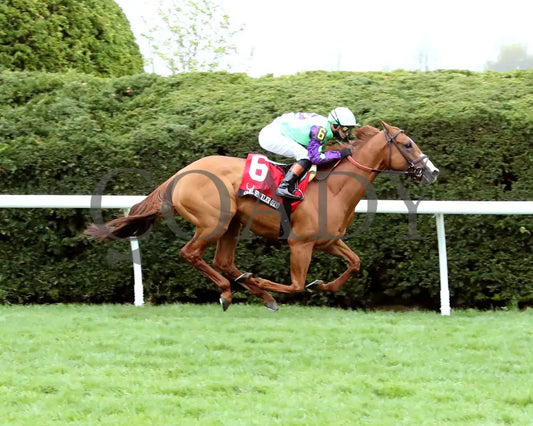 CARL SPACKLER - The Maker’s Mark Mile G1 - 37th Running - 04-11-25 - R09 - KEE - Finish 01 Keeneland