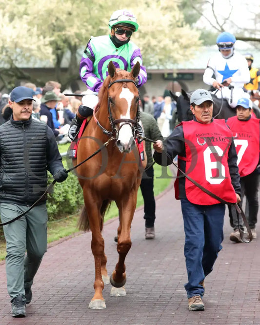 CARL SPACKLER - The Maker’s Mark Mile G1 - 37th Running - 04-11-25 - R09 - KEE - Paddock 01 Keeneland