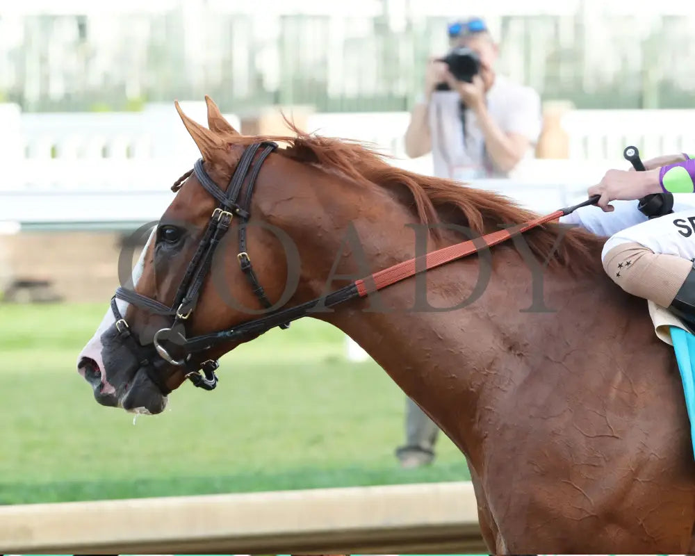 Carl Spackler - The Opening Verse 05-02-24 R11 Cd Comeback 01 Churchill Downs