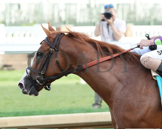 Carl Spackler - The Opening Verse 05-02-24 R11 Cd Comeback 01 Churchill Downs