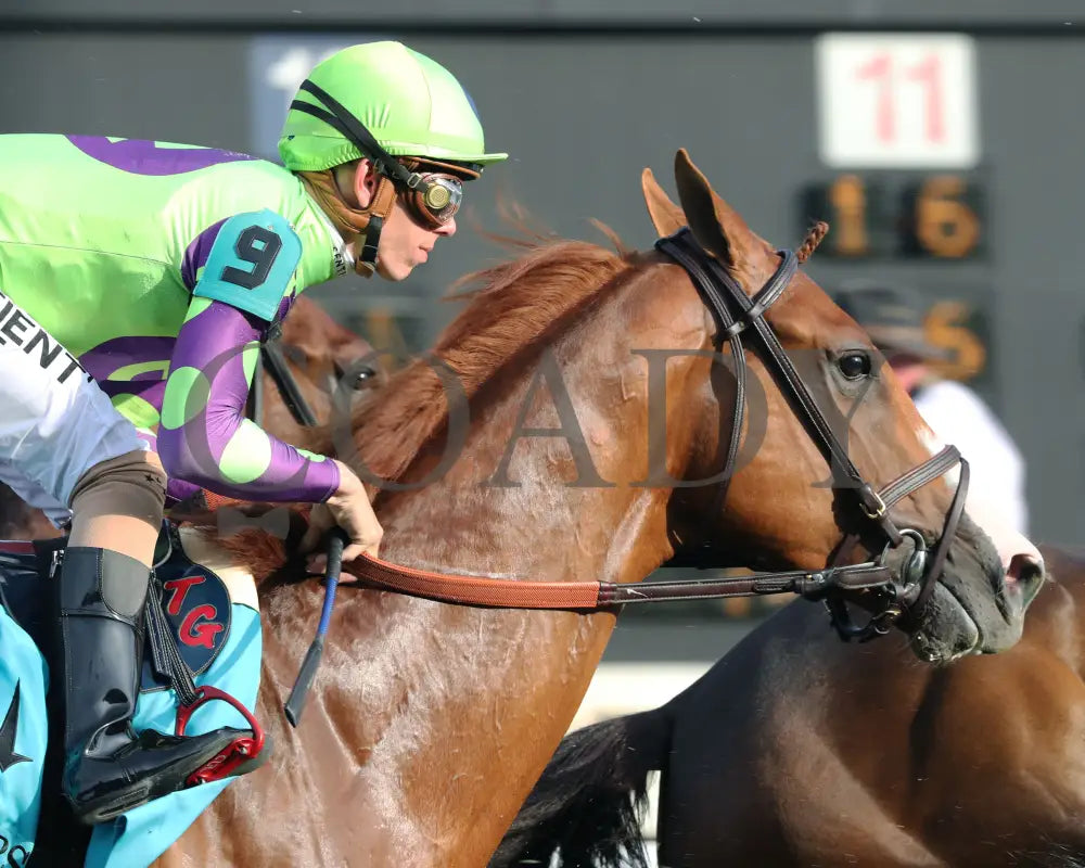 Carl Spackler - The Opening Verse 05-02-24 R11 Cd First Pass 01 Churchill Downs