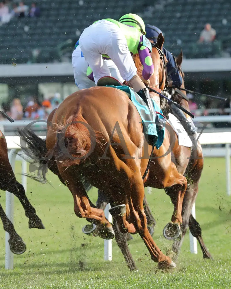 Carl Spackler - The Opening Verse 05-02-24 R11 Cd First Pass 02 Churchill Downs