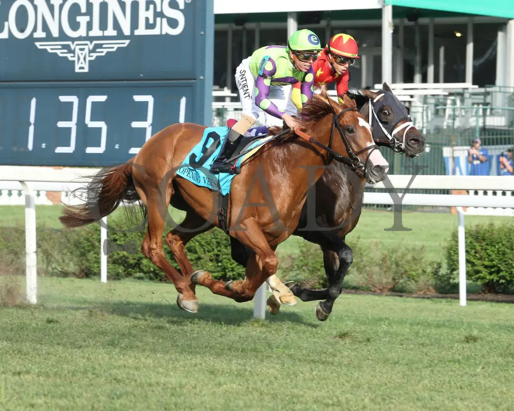 Carl Spackler - The Opening Verse 05-02-24 R11 Cd Gallop Out Churchill Downs