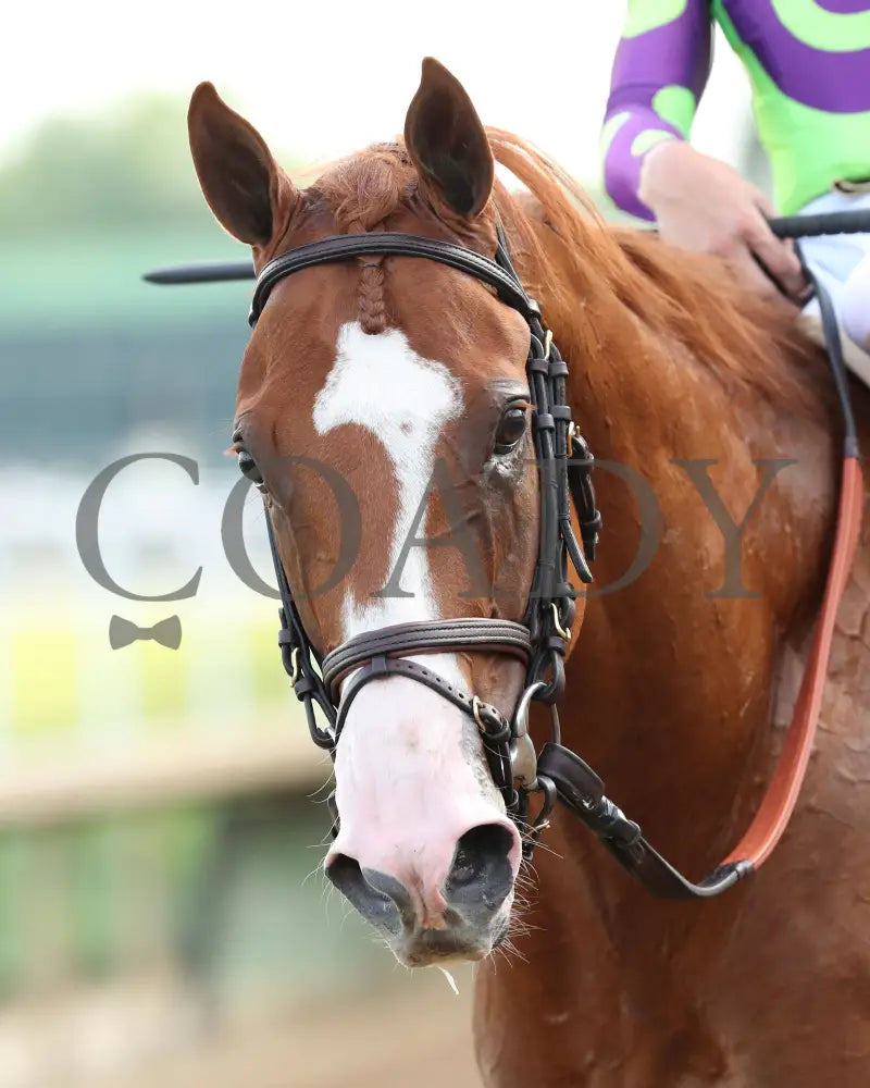 Carl Spackler - The Opening Verse 05-02-24 R11 Cd Head Shot 01 Churchill Downs