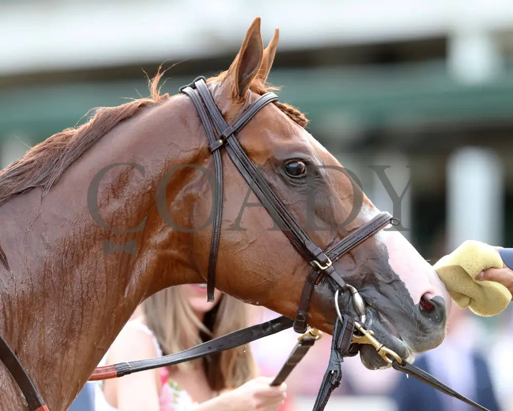 Carl Spackler - The Opening Verse 05-02-24 R11 Cd Head Shot 02 Churchill Downs