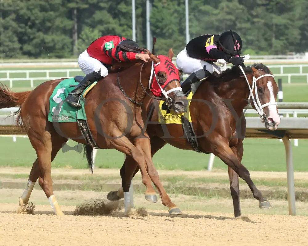 Carmelina - The Penny Chenery 08-11-24 R06 Cnl Finish 02 Colonial Downs