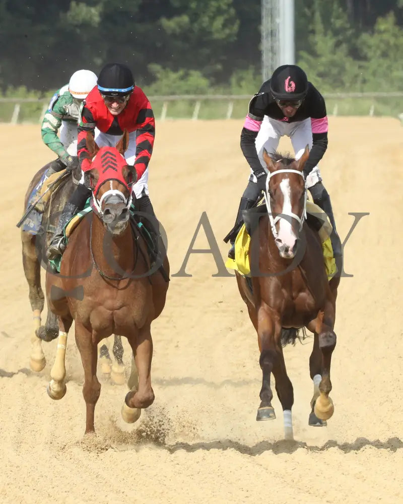 Carmelina - The Penny Chenery 08-11-24 R06 Cnl Gallop Out 01 Colonial Downs