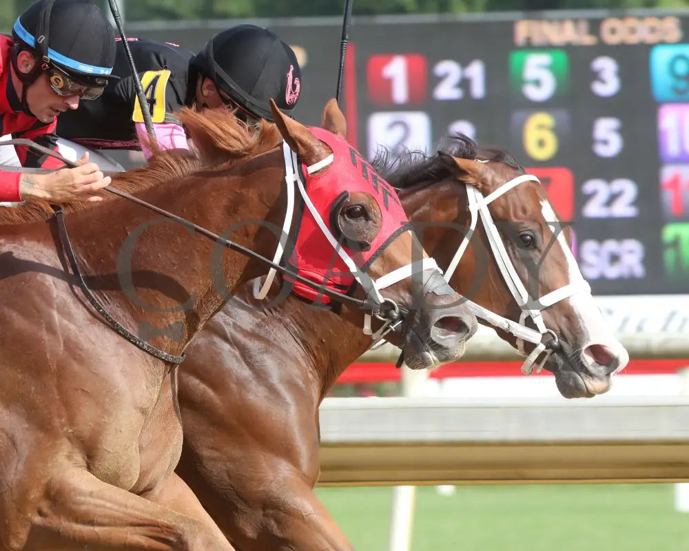 Carmelina - The Penny Chenery 08-11-24 R06 Cnl Gallop Out 02 Colonial Downs
