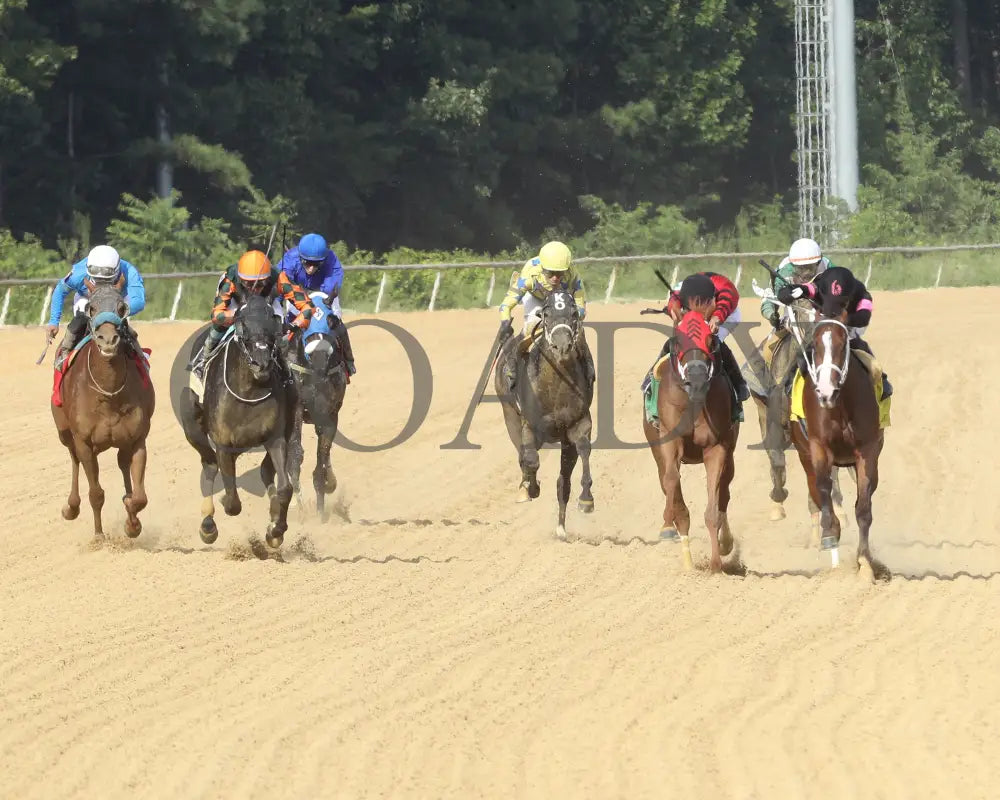 Carmelina - The Penny Chenery 08-11-24 R06 Cnl Head On 01 Colonial Downs