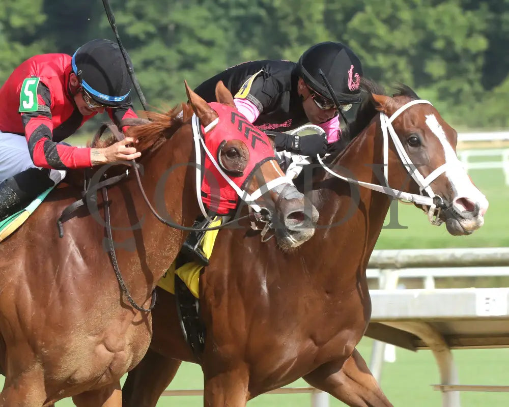 Carmelina - The Penny Chenery 08-11-24 R06 Cnl Tight Finish 01 Colonial Downs
