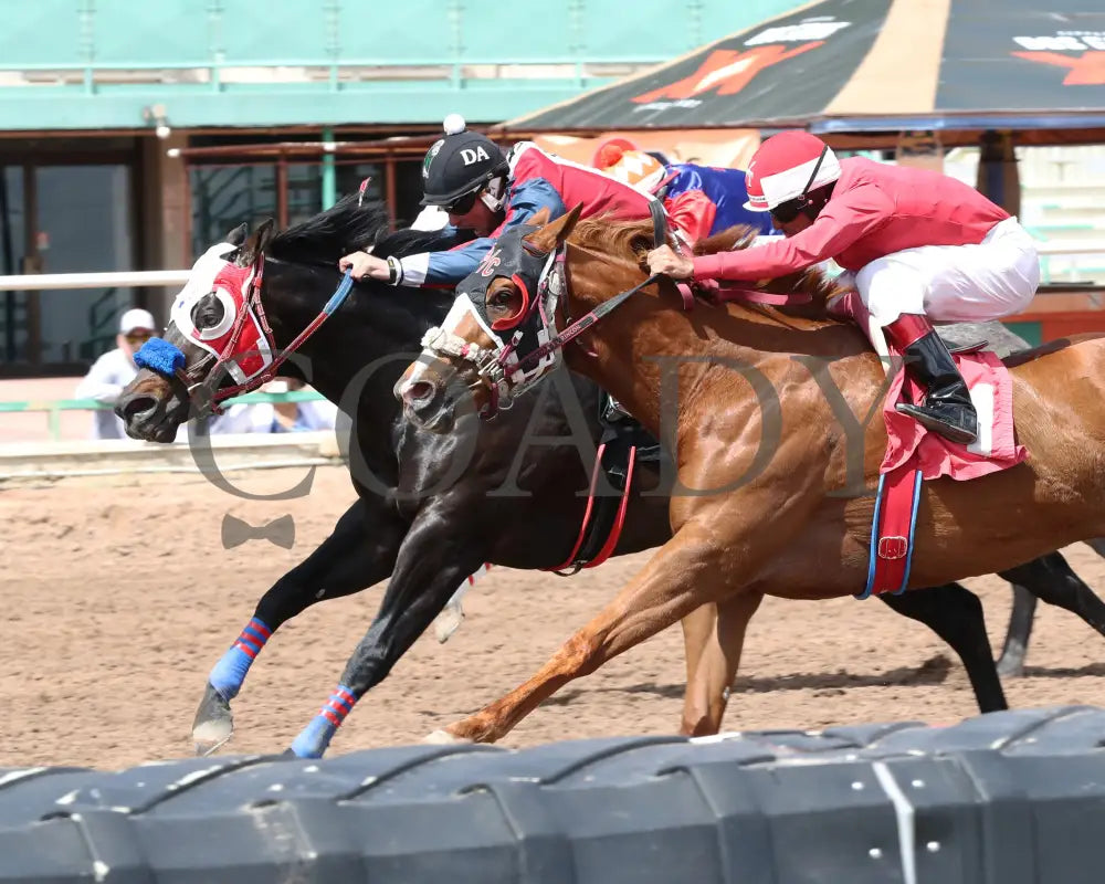 Carters Kissin Cindi - Aqra Turf Paradise Open Derby Consolation 03 - 26 - 24 R01 Inside Finish