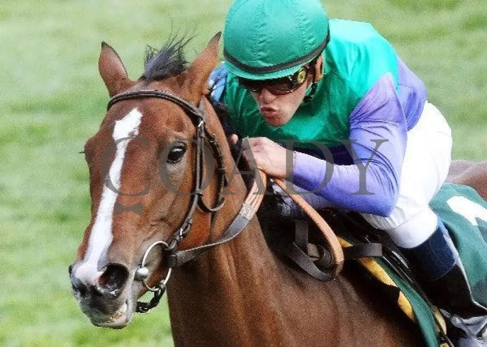 Casablanca Smile - The Rood And Riddle Dowager Keeneland