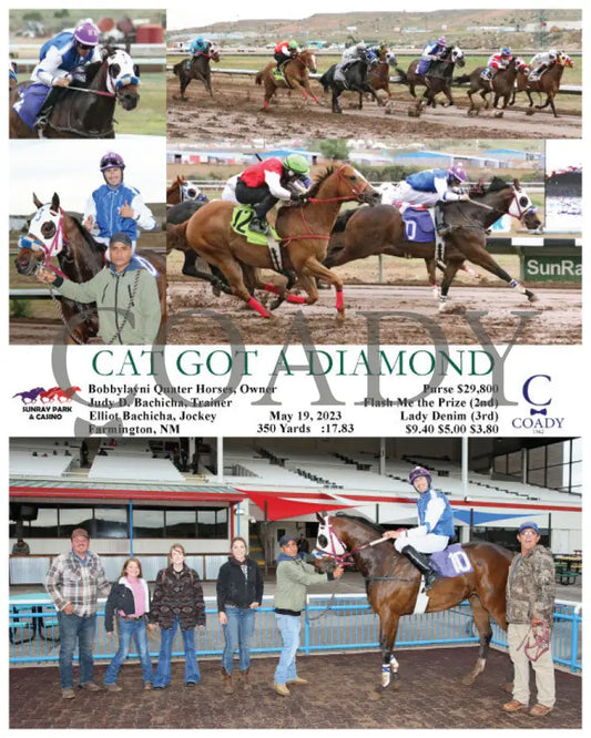 Cat Got A Diamond - 05-19-23 R09 Srp Sunray Park