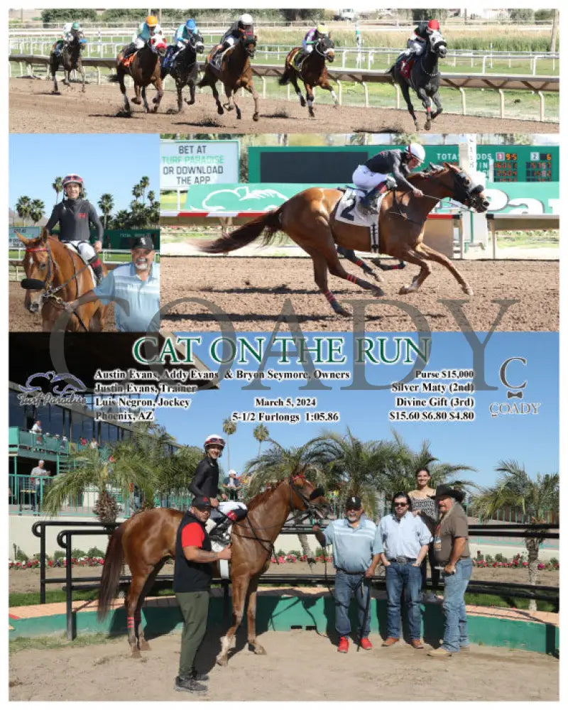 Cat On The Run - 03-05-24 R05 Tup Turf Paradise