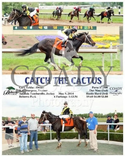 Catch The Cactus - 050914 Race 08 Btp Belterra Park