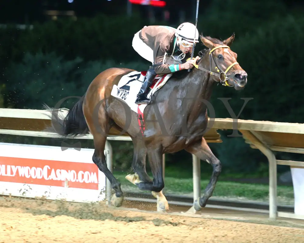 Catch The Humor - West Virginia Russell Road Breeders Classic 10-12-24 R03 Ct Finish 02 Hollywood