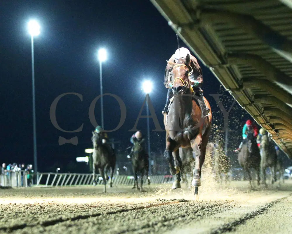 Catch The Humor - West Virginia Russell Road Breeders Classic 10-12-24 R03 Ct Under Rail 01