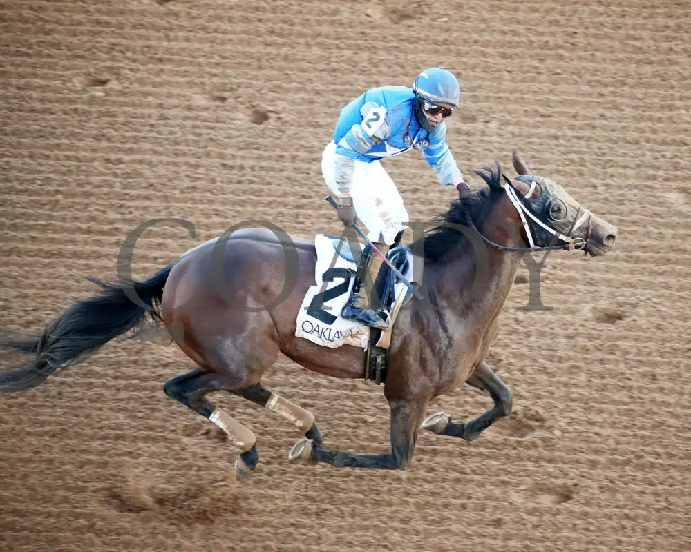 Catching Freedom - The Smarty Jones 17Th Running 01-01-24 R09 Op Celebration 02 Oaklawn Park