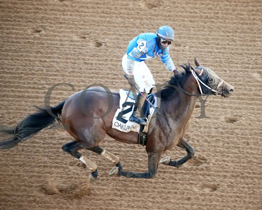 Catching Freedom - The Smarty Jones 17Th Running 01-01-24 R09 Op Celebration 02 Oaklawn Park