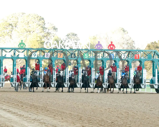 Catching Freedom - The Smarty Jones 17Th Running 01-01-24 R09 Op Start 01 Oaklawn Park
