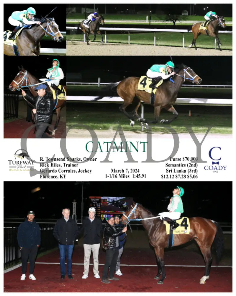 Catmint - 03 - 07 - 24 R05 Tp Turfway Park