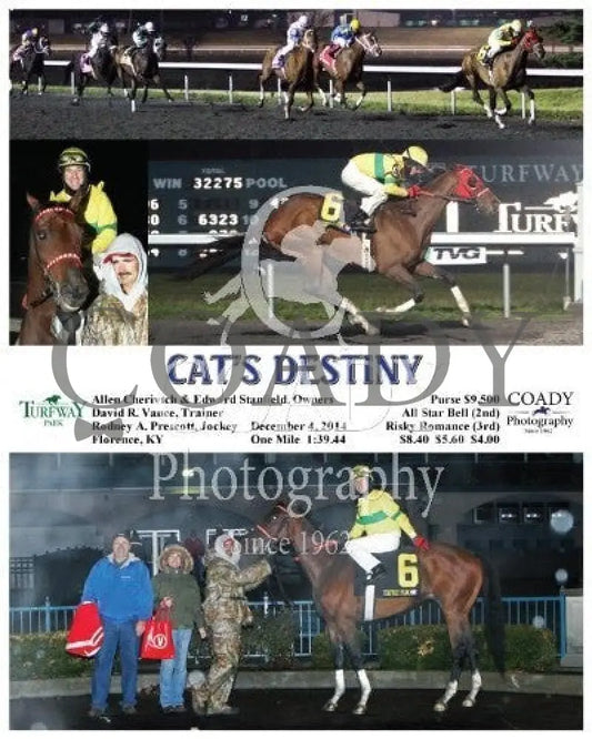Cat’s Destiny - 120414 Race 06 Tp Turfway Park