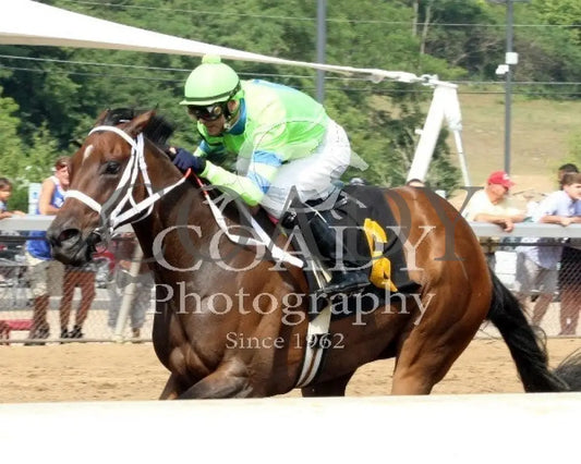 Caviar N Champagne - 081014 Race 07 Btp Belterra Park