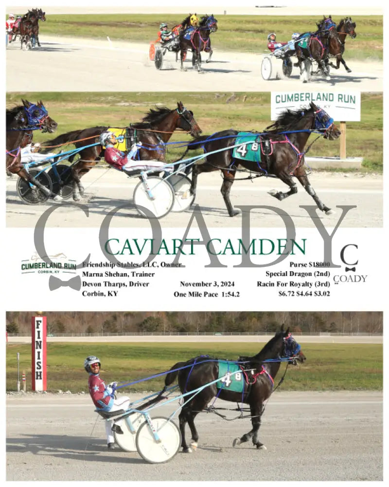 Caviart Camden - 11-03-24 R08 Clr Cumberland Run