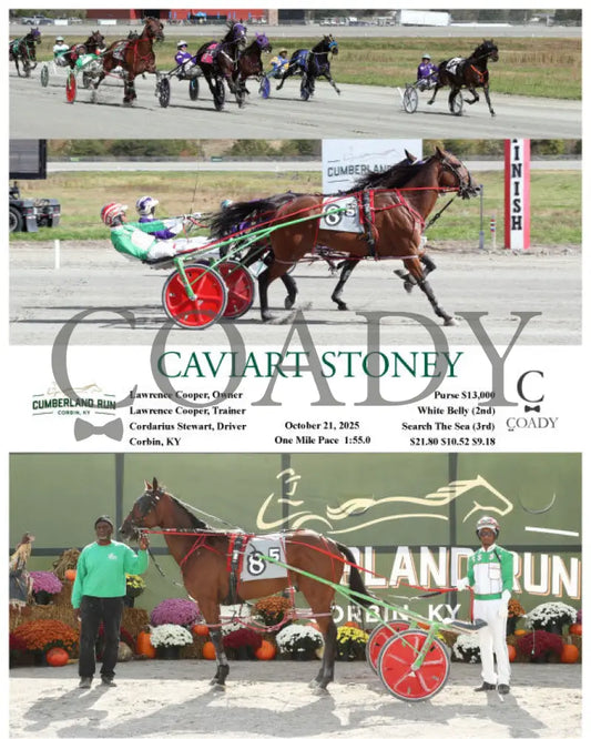 CAVIART STONEY - 10-21-25 - R05 - CMR Presque Isle Downs
