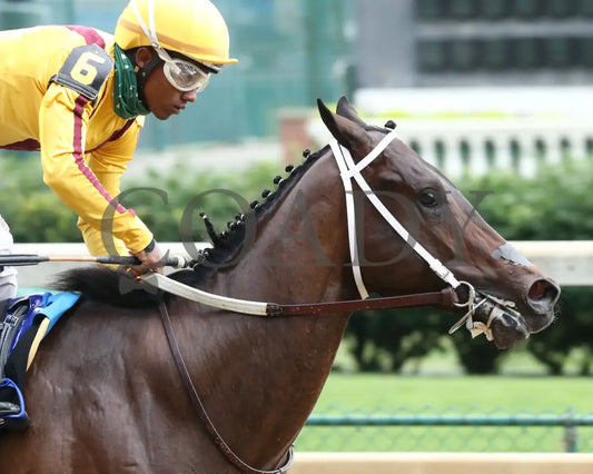 Cazadero - The Bashford Manor G3 119Th Running 06-27-20 R08 Cd Finish 05 Churchill Downs