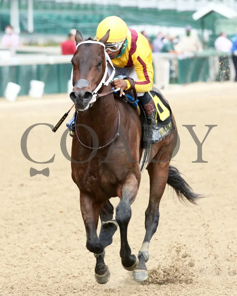 Cazadero - The Bashford Manor G3 119Th Running 06-27-20 R08 Cd Inside Finish 01 Churchill Downs