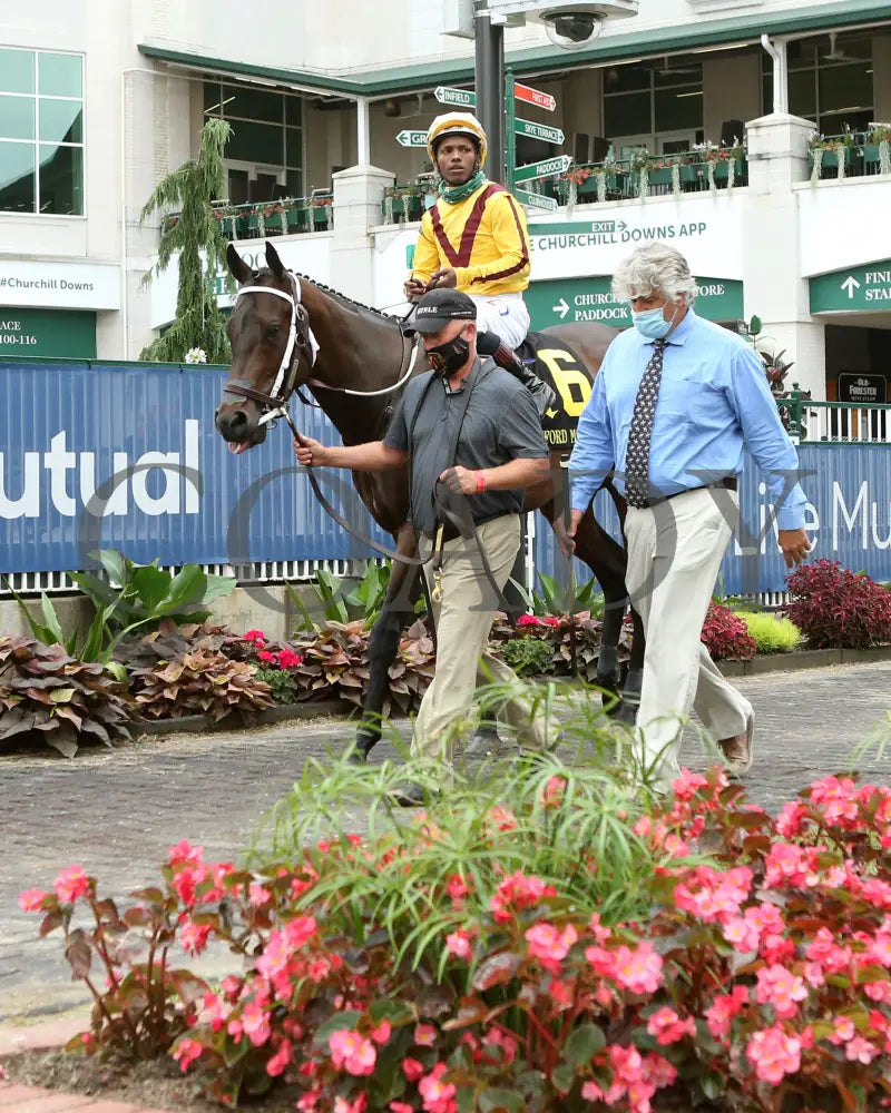 Cazadero - The Bashford Manor G3 119Th Running 06-27-20 R08 Cd Paddock 02 Churchill Downs