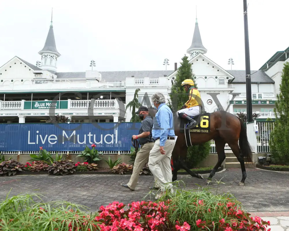 Cazadero - The Bashford Manor G3 119Th Running 06-27-20 R08 Cd Paddock 03 Churchill Downs
